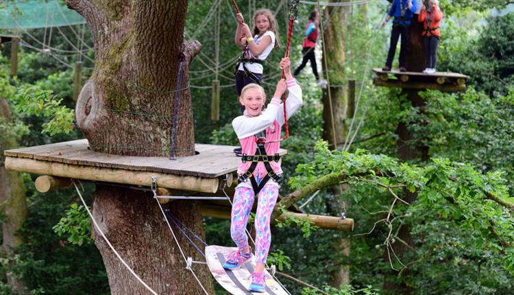Tree Top Manchester
